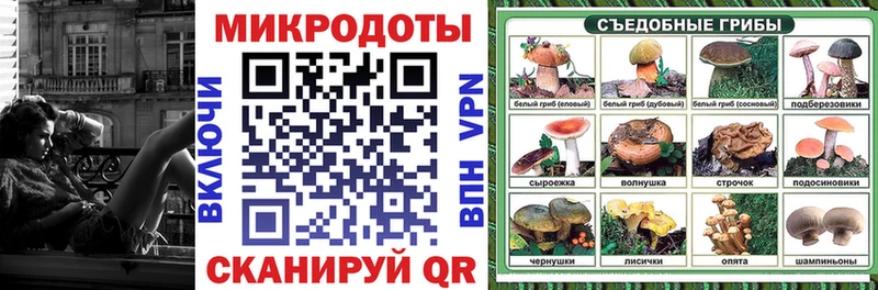 Псилоцибиновые грибы Psilocybine cubensis  Злынка 